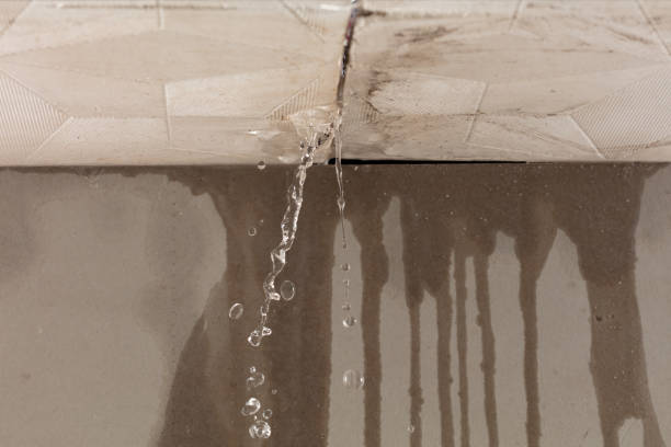 Professional Water Damage Inspection technician working in Winnie, TX
